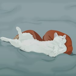 Kater Arno schlafend