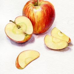 Äpfel – Aquarell