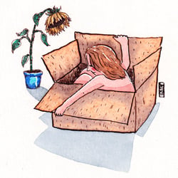 tournesol