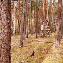 Uckermark / 2022