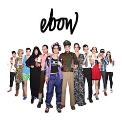 Ebow Cover small