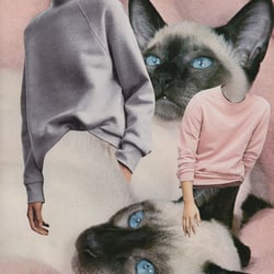 Cat-Sweaters