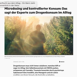 Stern Online