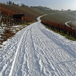 Winterweinberg 1740147k