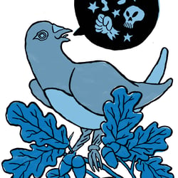 Blaue Taube