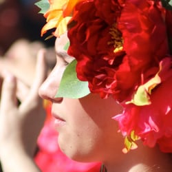 Festa do Flor