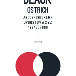 Corporate Font and Color