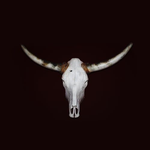 Vier für Texas