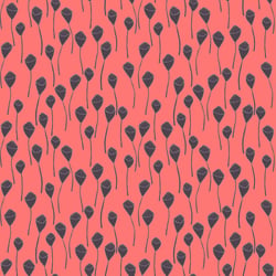 Pods