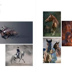 Graphic + Photodesign Portfolio