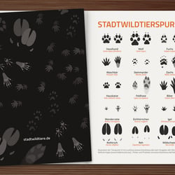 Stadtwildtiere Merchandising