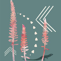 Island Collage