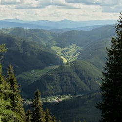DSC 0956−01
