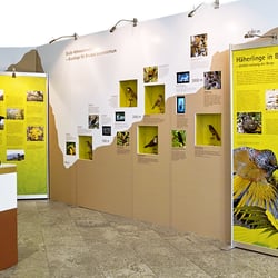 Ausstellungsdetail „Diversitätswand Häherlinge“ – Modul mit integrierten Vitrinen und Monitoren.