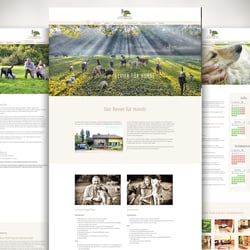 web13