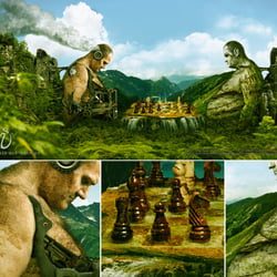 Das Schachspiel