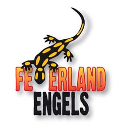 Engels. Kamine. Öfen. Schornsteine
