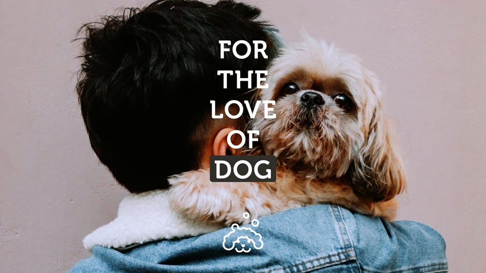 Because Pets are Family
