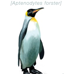Tierplakat