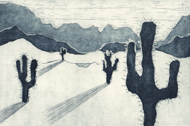 Wüstenpanorama (Radierung 30×20cm)