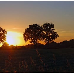 Sommerabend 4