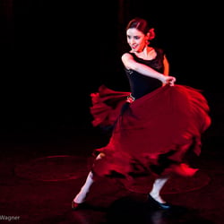 Flamenco