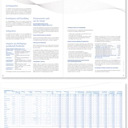 Layout, Reinzeichnung für die Agentur Republic (Kunde: ENERTRAG, Fondsprospekt)