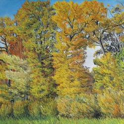 Herbstwald