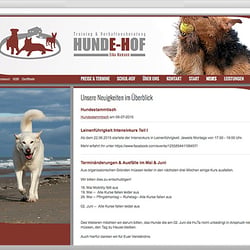 Websites & Webshops, Design & Programmierung
