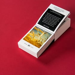 Photodarium 2017