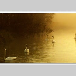 Fotografie-Natur