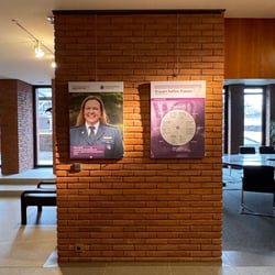 Wanderausstellung Displays  im Rathaus in Hofheim