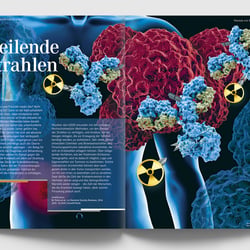 entdeckt – Forschungsmagazin