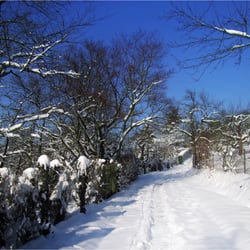 Winterweg 2075kd