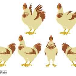 Hen Turnaround