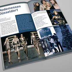 Düsseldorf Guide