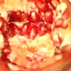 Granatapfel November 2012