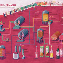 „Aus Trauben gemacht“ unveröffentlichte Infografik
