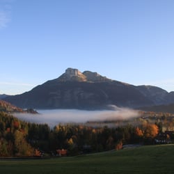 IMG 3531