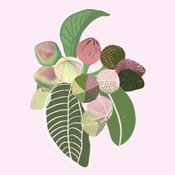 Flower Mix