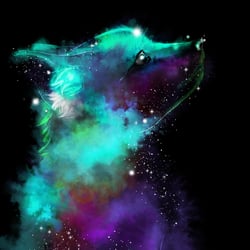 Foxy Universe