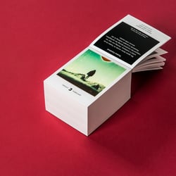 Photodarium 2017