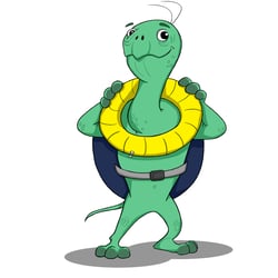 Ironturtle