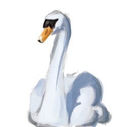 Vogel 1