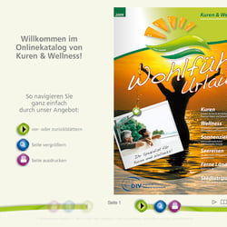 Katalog (print sowie online)