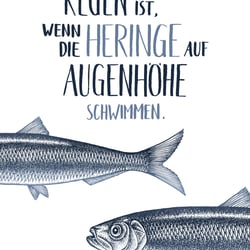 Heringe