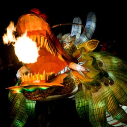 Lanternfestival 2010