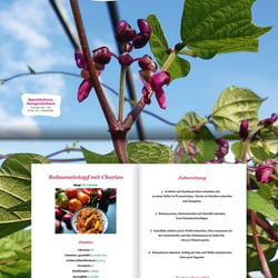 SoLaWie-Kalender 2024 – Juni