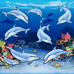 delphin