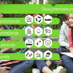 Still aus der Produktion „Ökosystem Stadt”